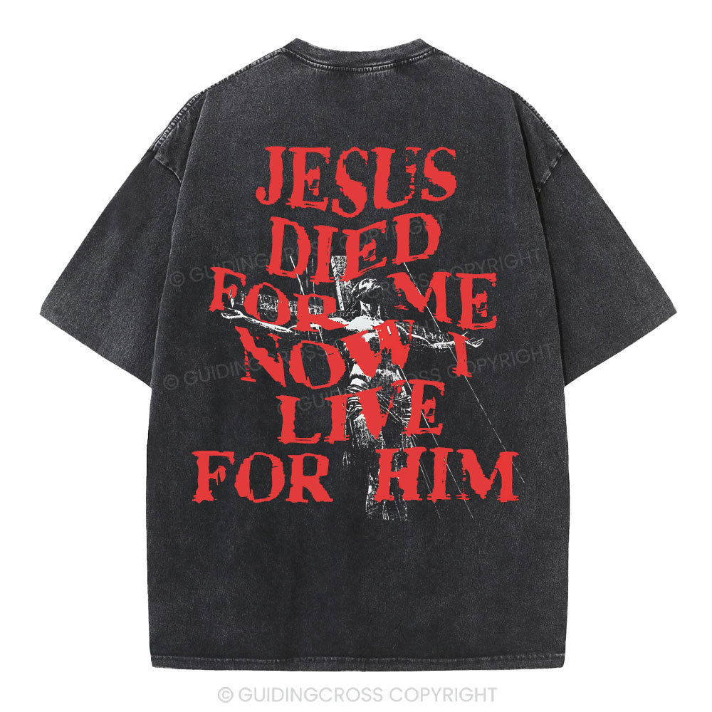 Jesus Died For Us Christian Washed T-Shirt