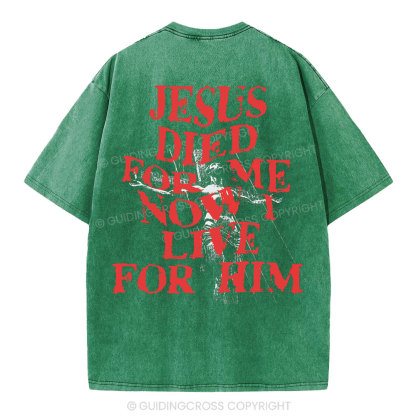 Jesus Died For Us Christian Washed T-Shirt