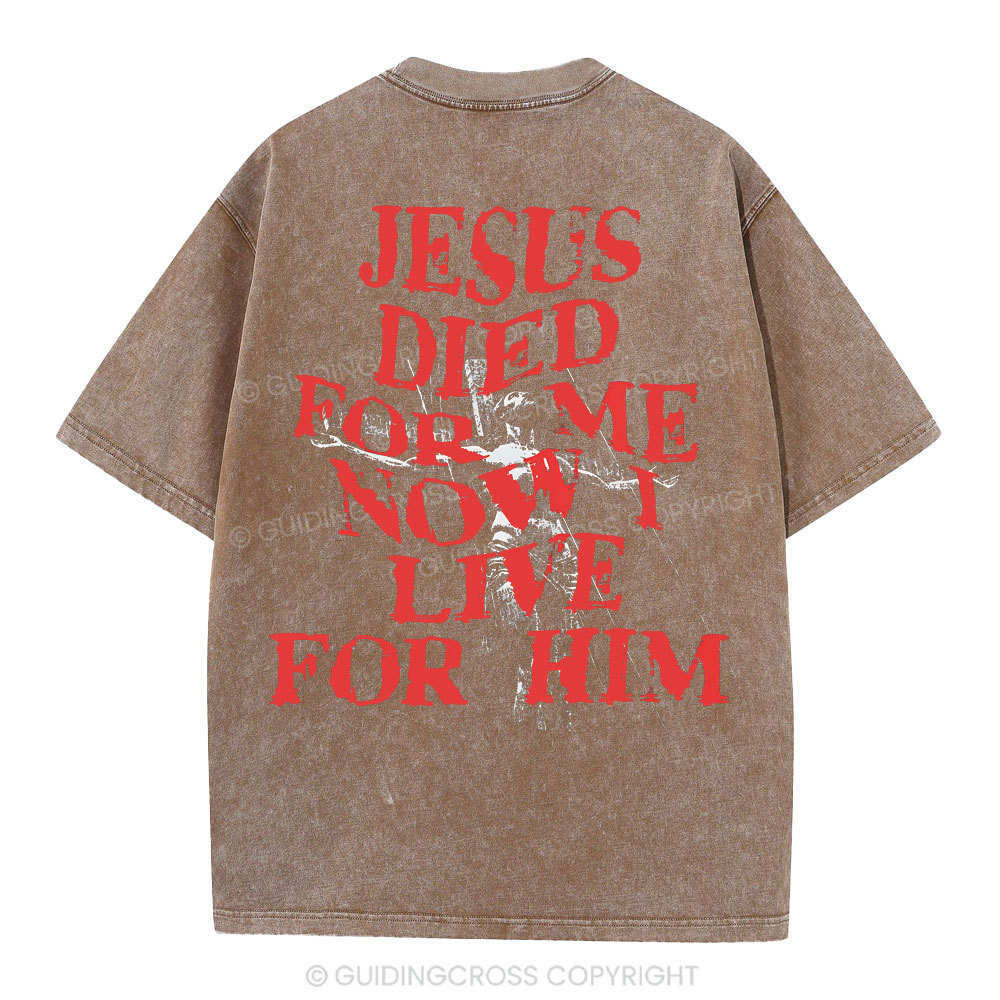 Jesus Died For Us Christian Washed T-Shirt