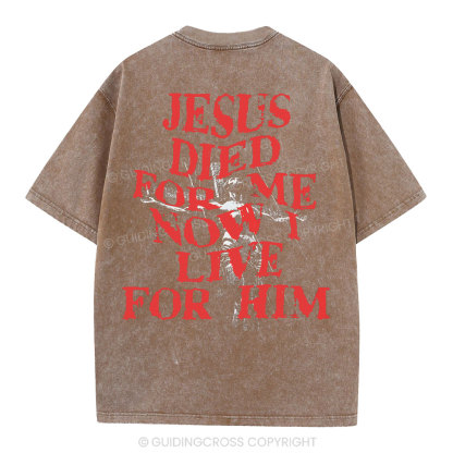 Jesus Died For Us Christian Washed T-Shirt