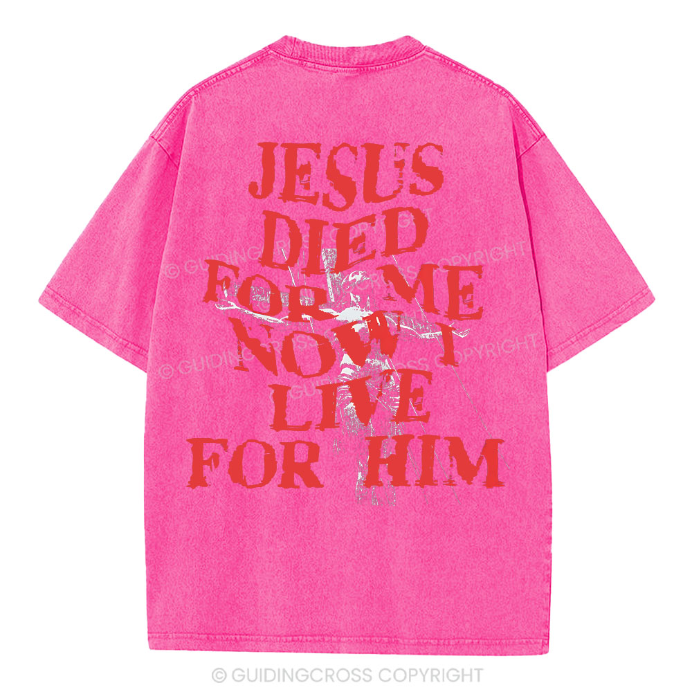 Jesus Died For Us Christian Washed T-Shirt