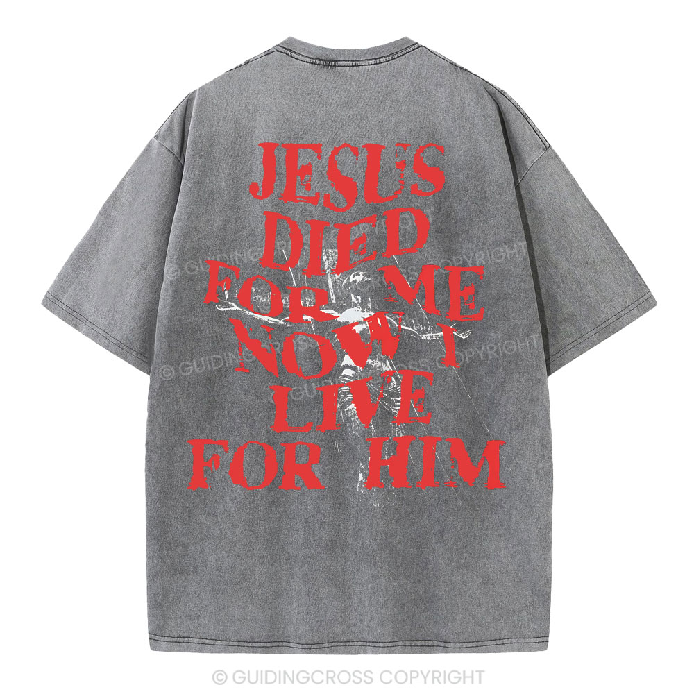 Jesus Died For Us Christian Washed T-Shirt