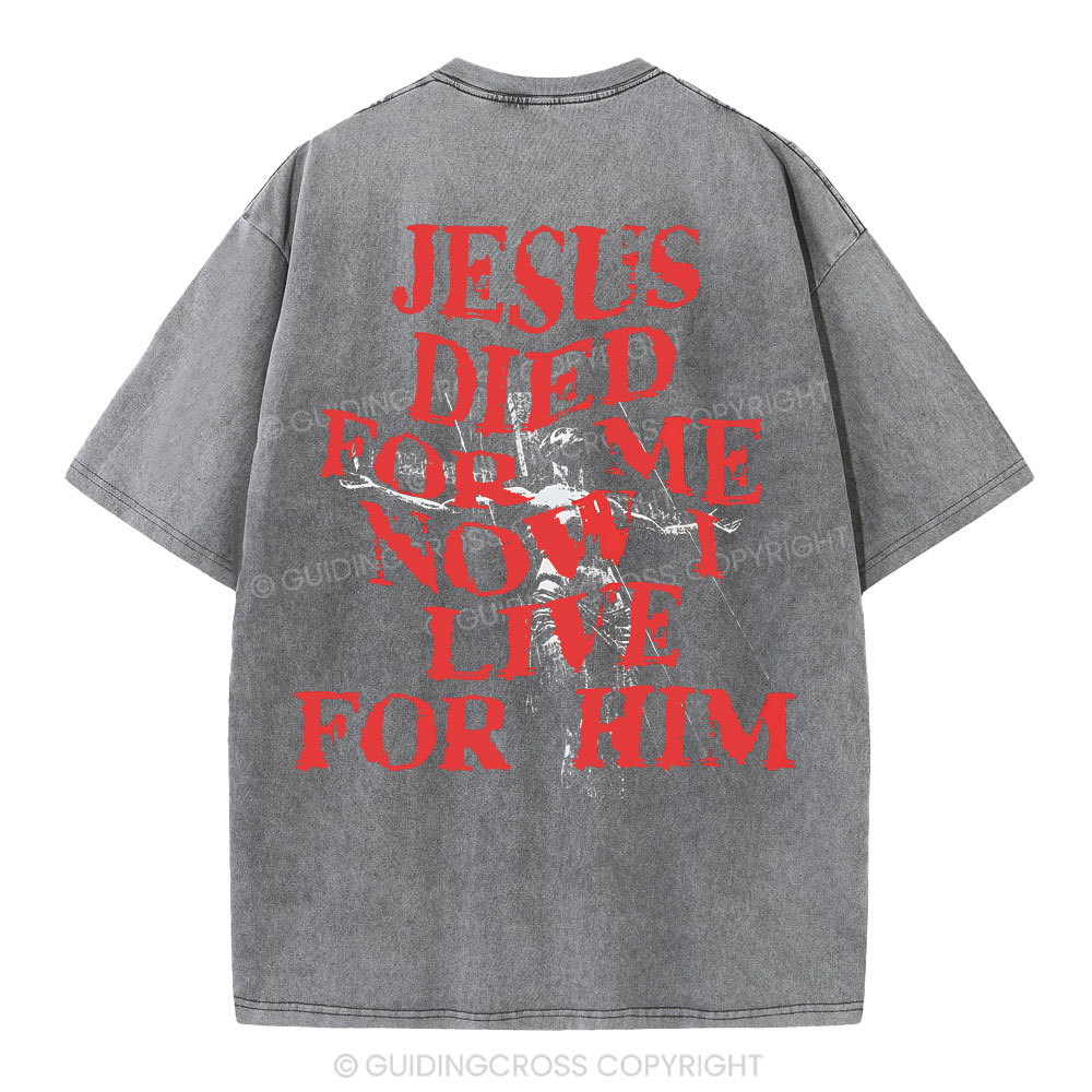 Jesus Died For Us Christian Washed T-Shirt