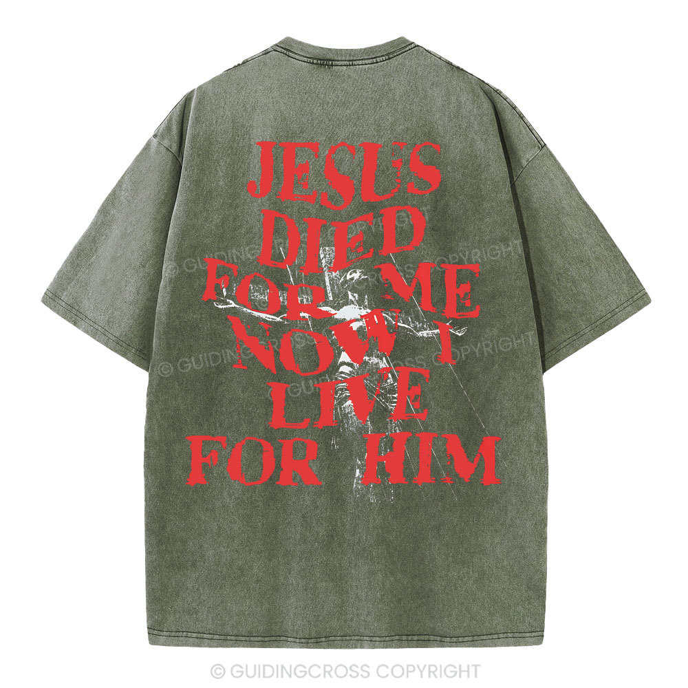 Jesus Died For Us Christian Washed T-Shirt
