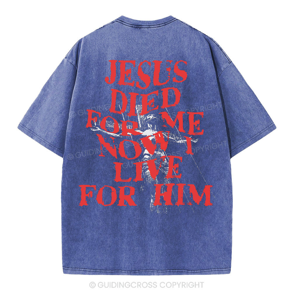 Jesus Died For Us Christian Washed T-Shirt
