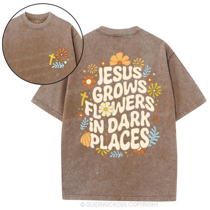 Jesus Grows Christian Washed T-Shirt