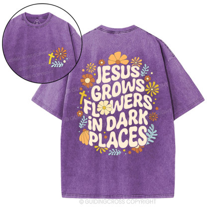 Jesus Grows Christian Washed T-Shirt