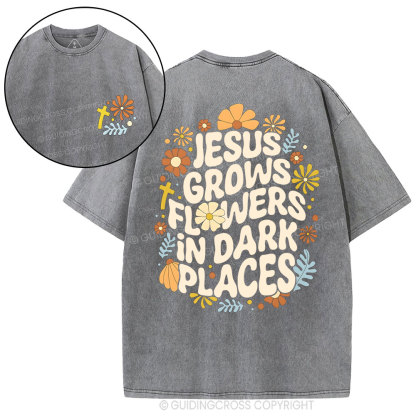 Jesus Grows Christian Washed T-Shirt