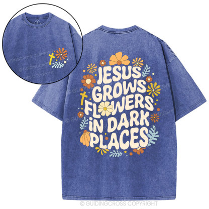 Jesus Grows Christian Washed T-Shirt