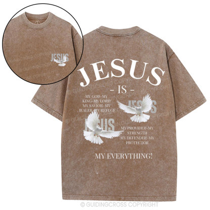 Jesus Is My Everything Christian Washed T-Shirt
