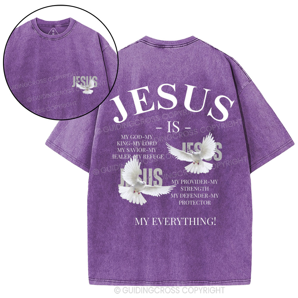 Jesus Is My Everything Christian Washed T-Shirt