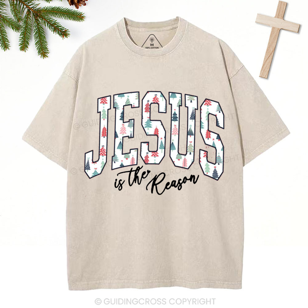 Jesus Is The Reason Christian Christmas Washed T-Shirt
