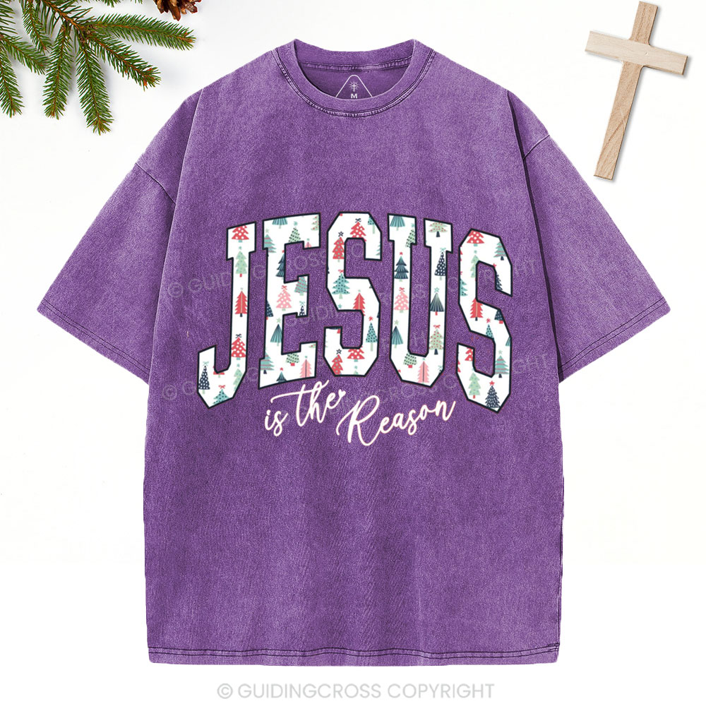 Jesus Is The Reason Christian Christmas Washed T-Shirt