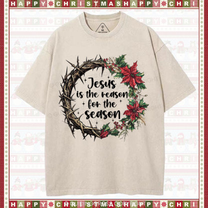 Jesus Is The Reason Christian  Washed T-Shirt
