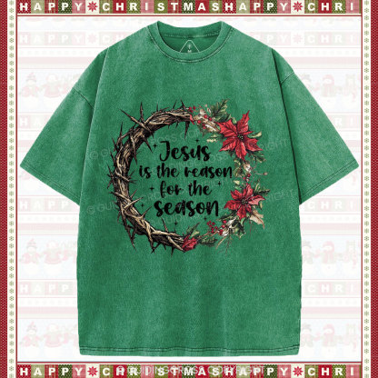 Jesus Is The Reason Christian  Washed T-Shirt