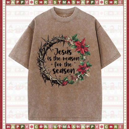 Jesus Is The Reason Christian  Washed T-Shirt