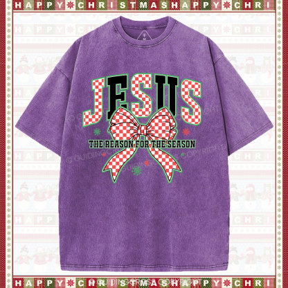 Jesus Is The Reason For The Season Chrisian Washed T-Shirt