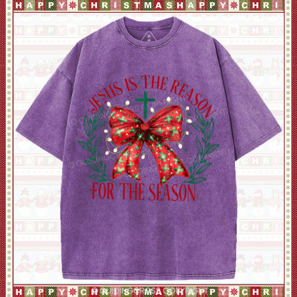 Jesus Is The Reason For The Season Christian Washed T-Shirt
