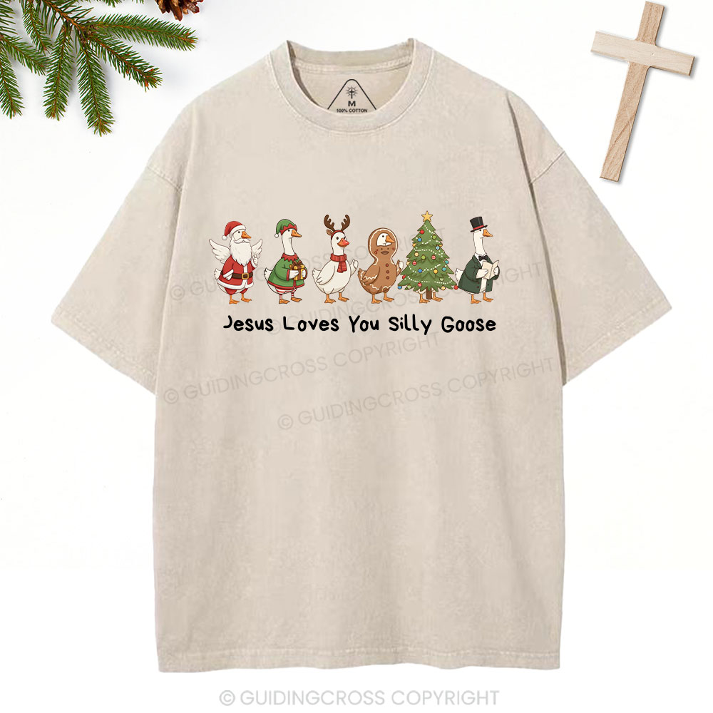 Jesus Loves You Silly Goose Christian Washed T-Shirt