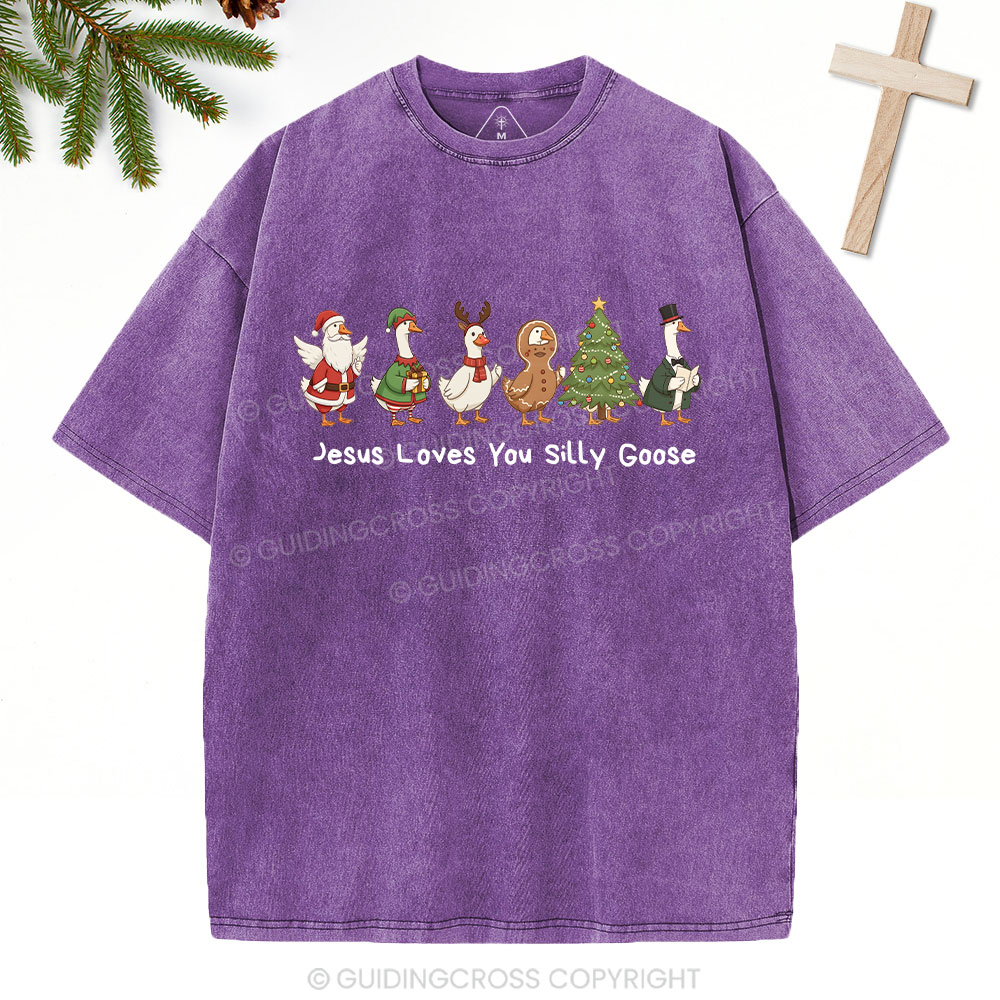 Jesus Loves You Silly Goose Christian Washed T-Shirt