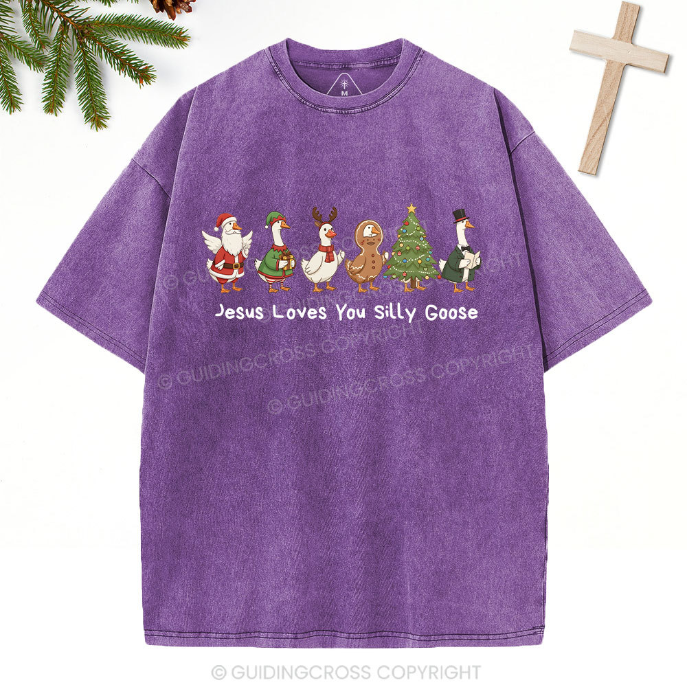 Jesus Loves You Silly Goose Christian Washed T-Shirt