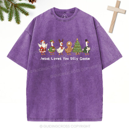 Jesus Loves You Silly Goose Christian Washed T-Shirt