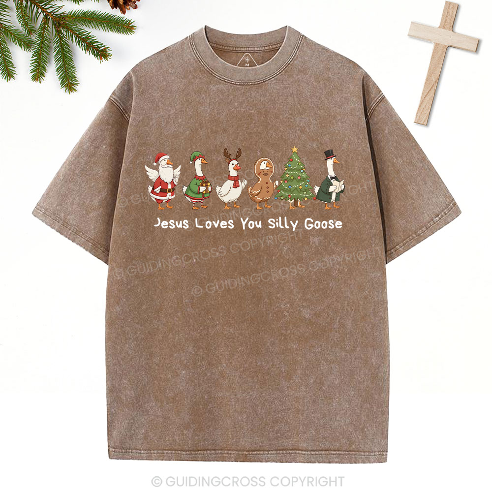 Jesus Loves You Silly Goose Christian Washed T-Shirt