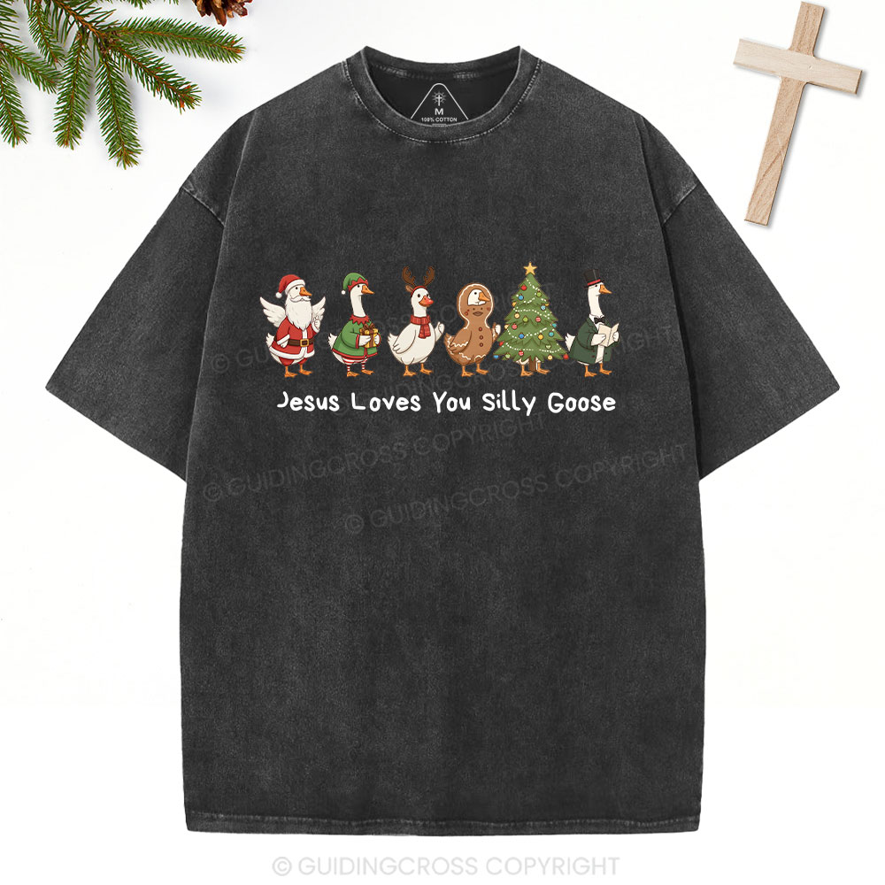 Jesus Loves You Silly Goose Christian Washed T-Shirt