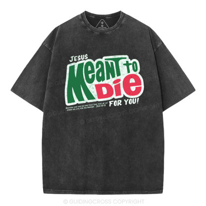 Jesus Meant To Die For You Christian Washed T-Shirt