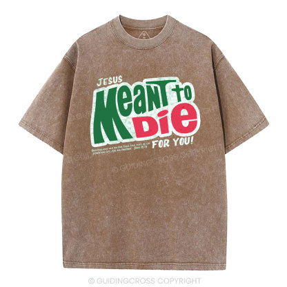 Jesus Meant To Die For You Christian Washed T-Shirt