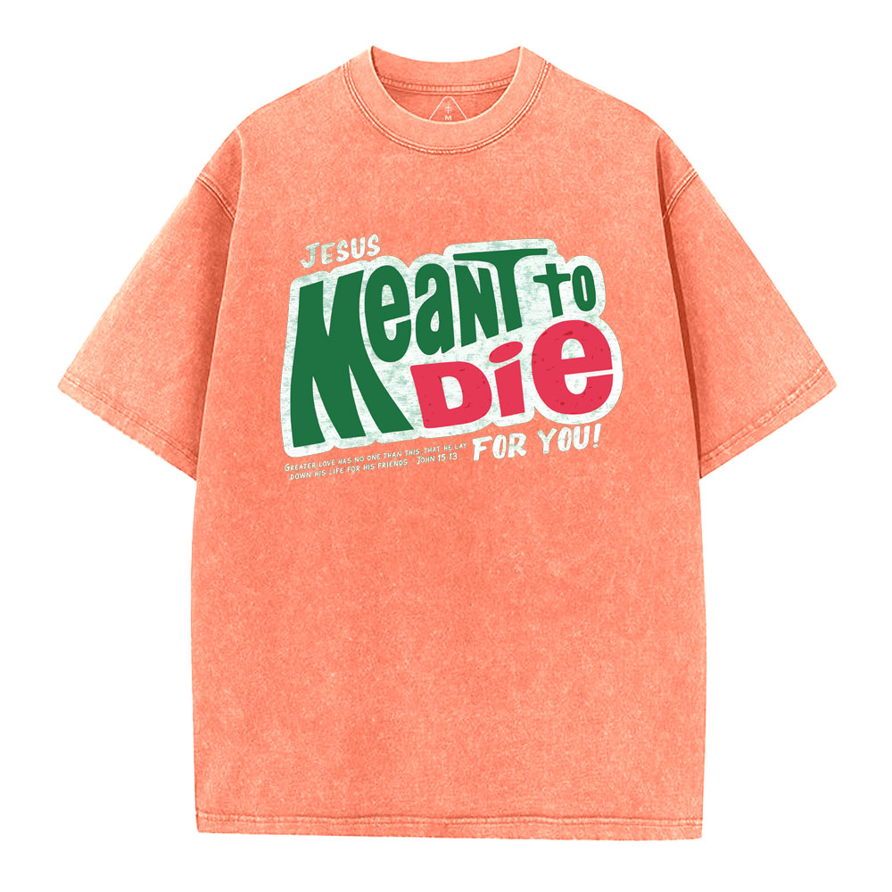 Jesus Meant To Die For You Christian Washed T-Shirt