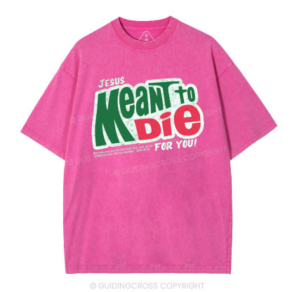 Jesus Meant To Die For You Christian Washed T-Shirt