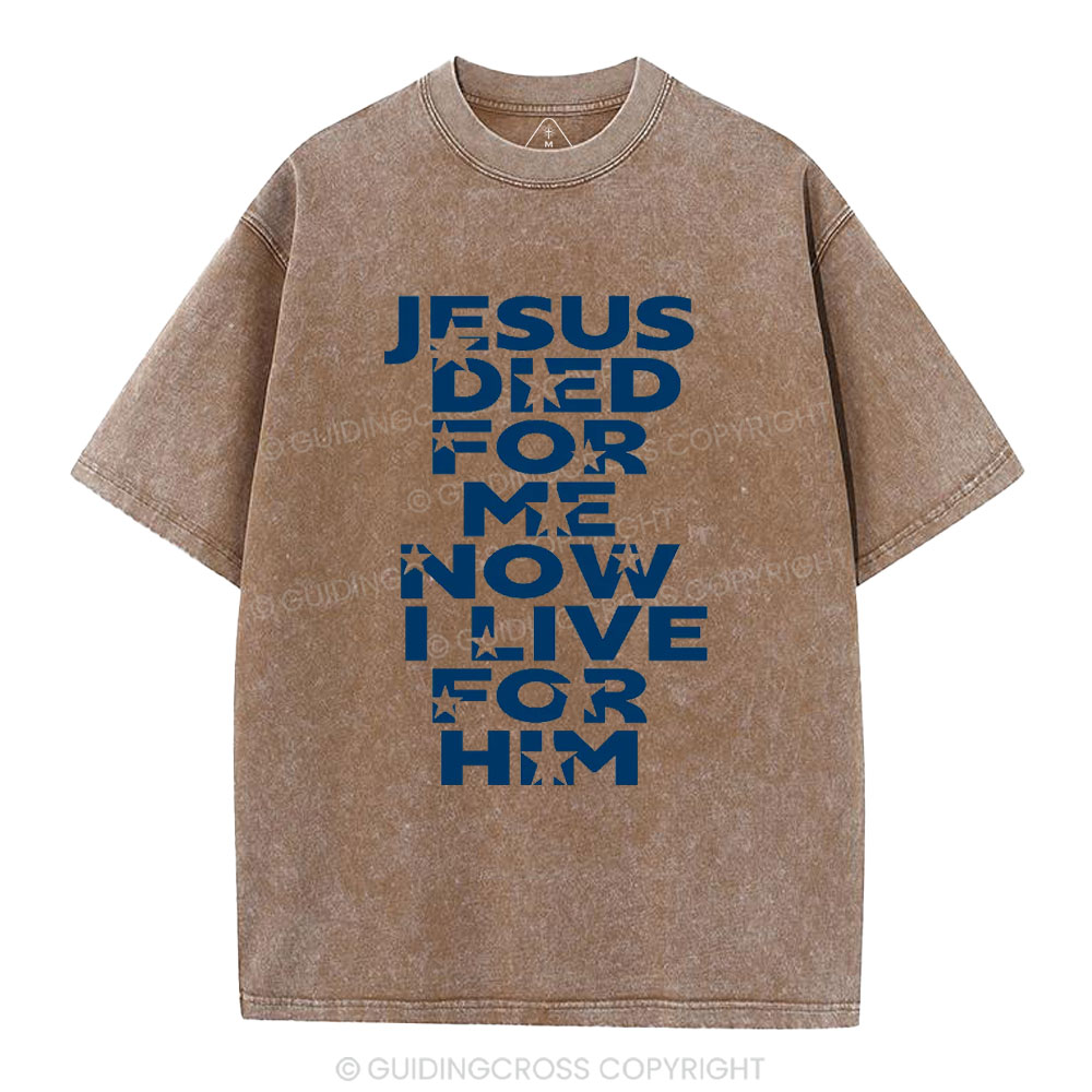 Sample Washed T-Shirt Sale - GuidingCross