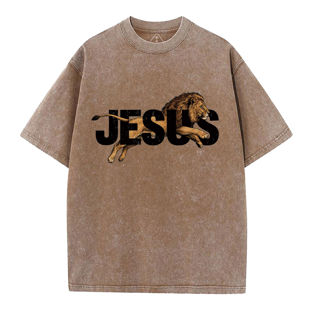 Jesus Christian Washed T-Shirt