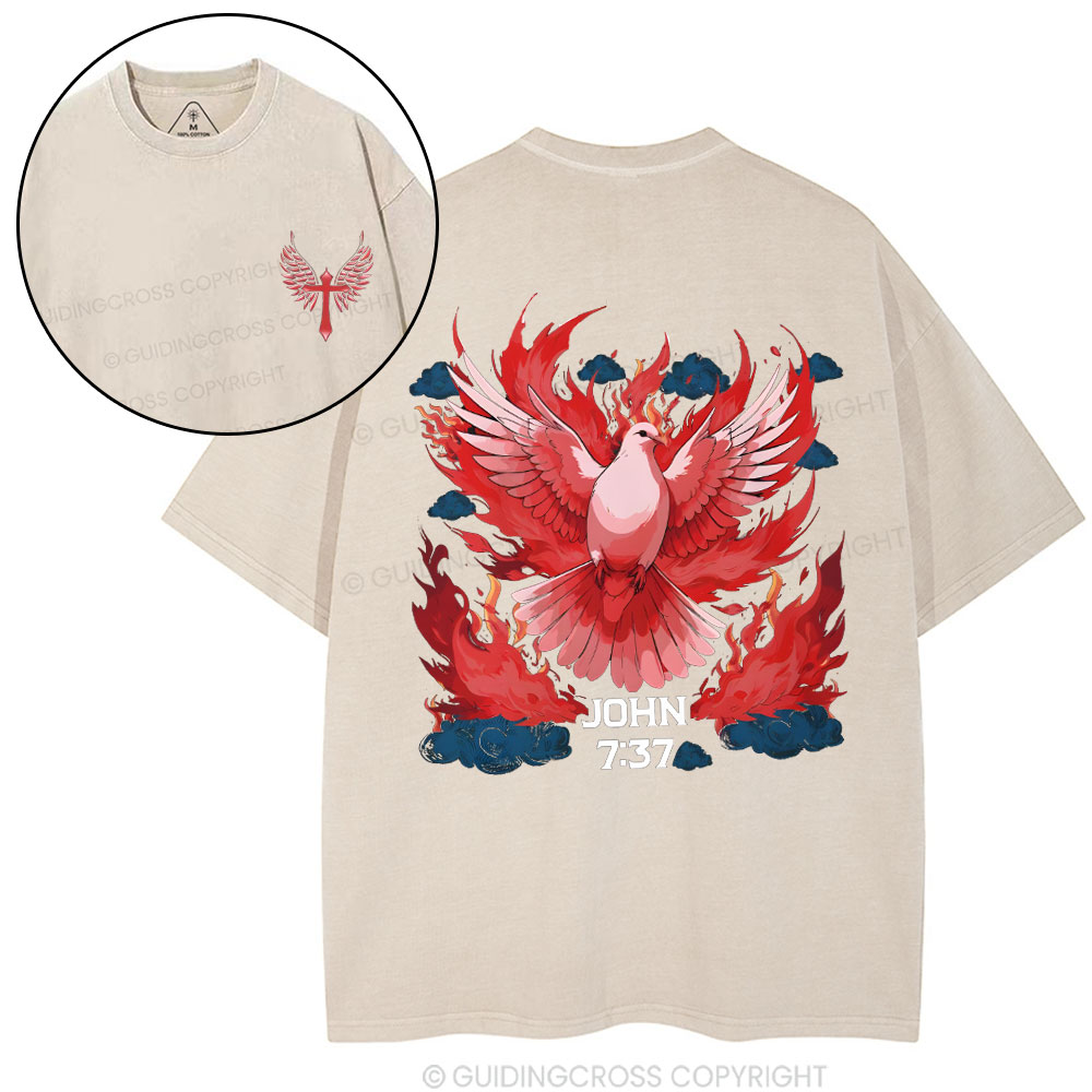 John Christian Washed T-Shirt