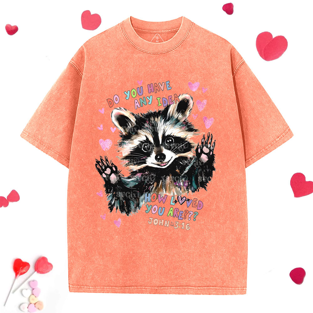 John3：16 Christian Washed T-Shirt