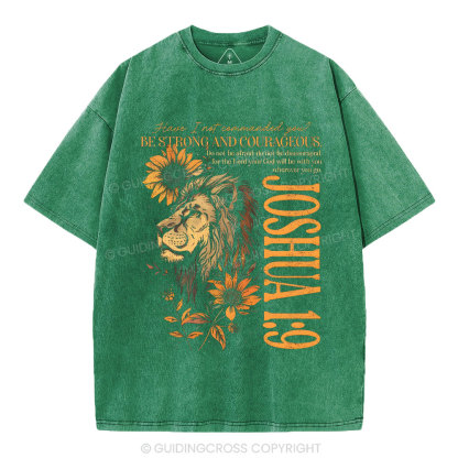 Joshua Christian Washed T-Shirt