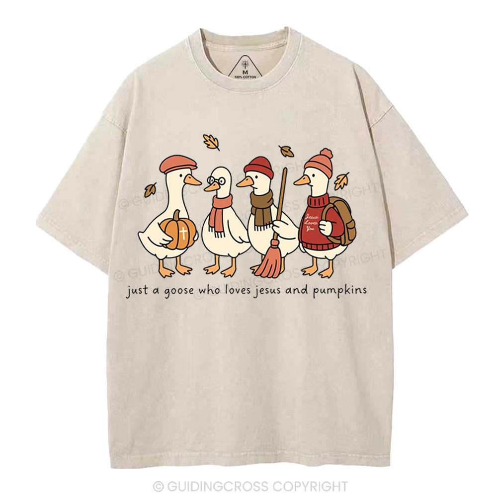 Just A Goose Who Loves Jesus And Pumpkins Christian Washed T-Shirt