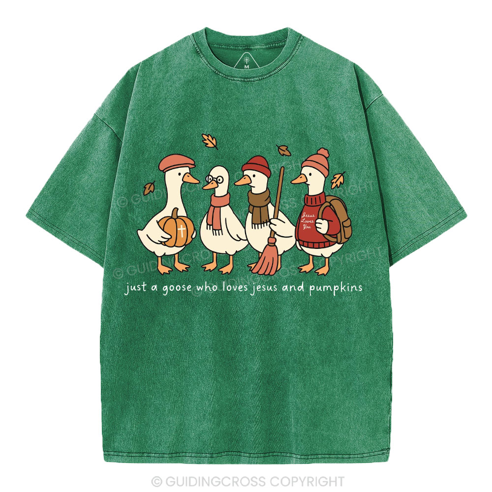 Just A Goose Who Loves Jesus And Pumpkins Christian Washed T-Shirt