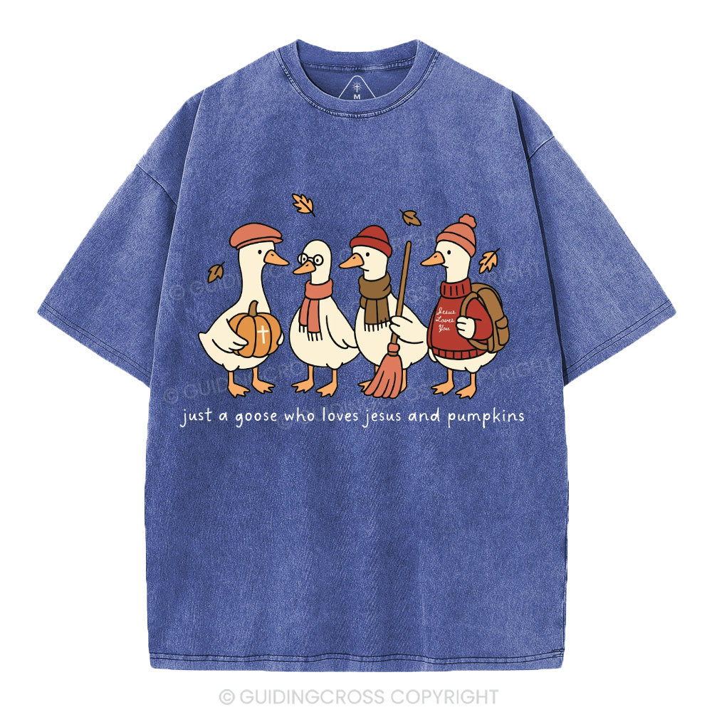 Just A Goose Who Loves Jesus And Pumpkins Christian Washed T-Shirt