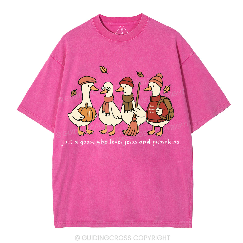 Just A Goose Who Loves Jesus And Pumpkins Christian Washed T-Shirt