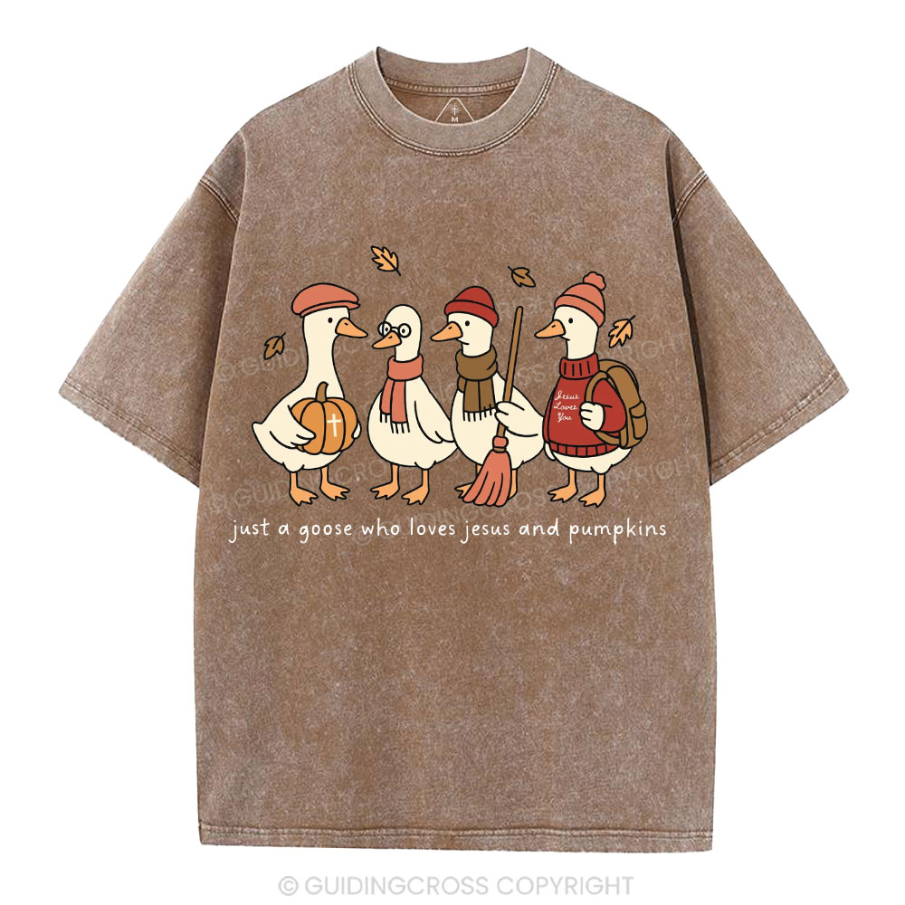Just A Goose Who Loves Jesus And Pumpkins Christian Washed T-Shirt