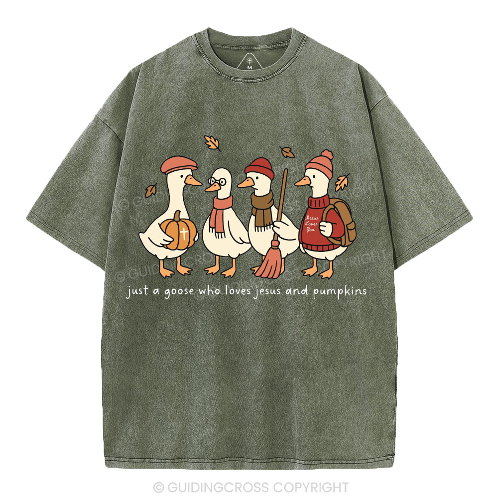 Just A Goose Who Loves Jesus And Pumpkins Christian Washed T-Shirt