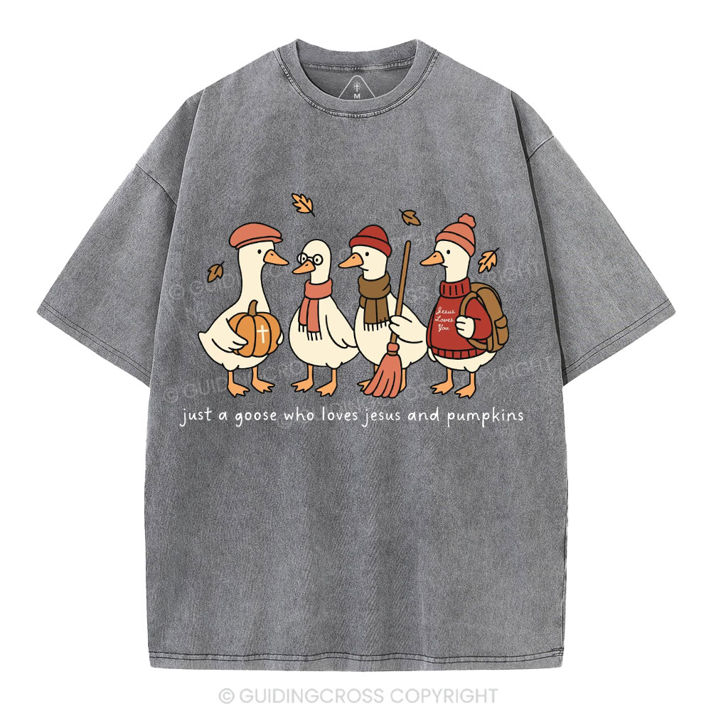 Just A Goose Who Loves Jesus And Pumpkins Christian Washed T-Shirt