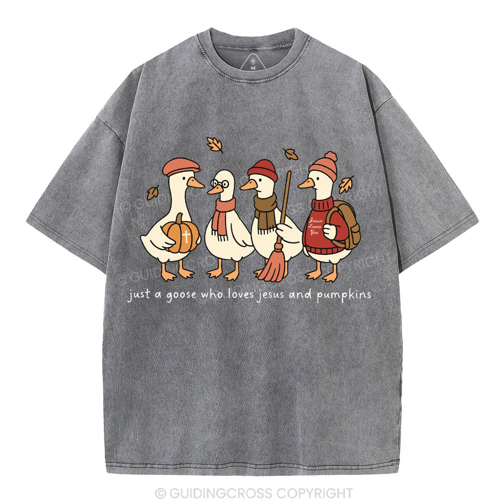 Just A Goose Who Loves Jesus And Pumpkins Christian Washed T-Shirt