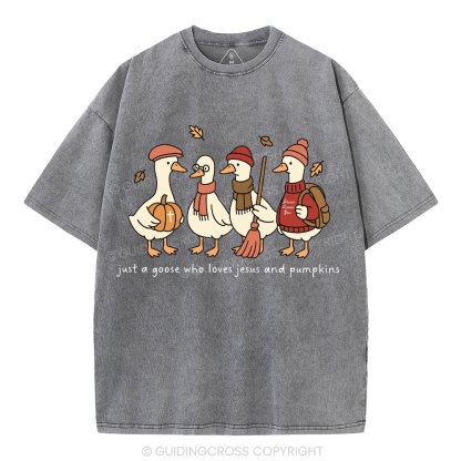 Just A Goose Who Loves Jesus And Pumpkins Christian Washed T-Shirt