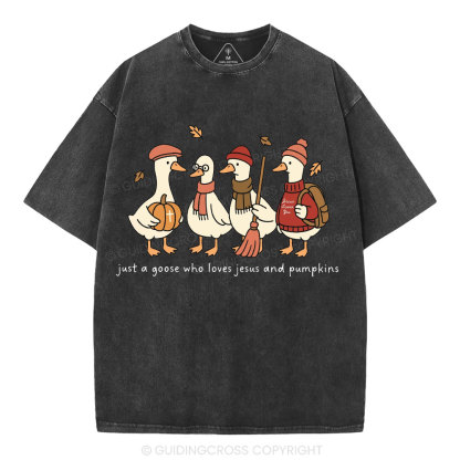 Just A Goose Who Loves Jesus And Pumpkins Christian Washed T-Shirt