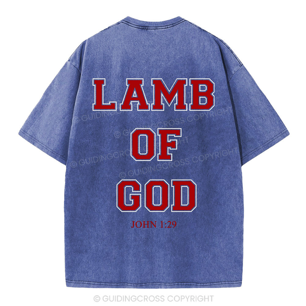 Lamb Of God Christian Washed T-Shirt