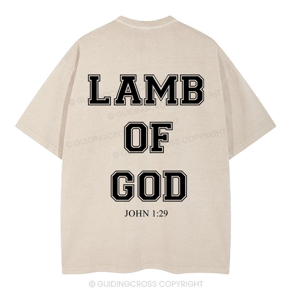 Lamb Of God Christian Washed T-Shirt