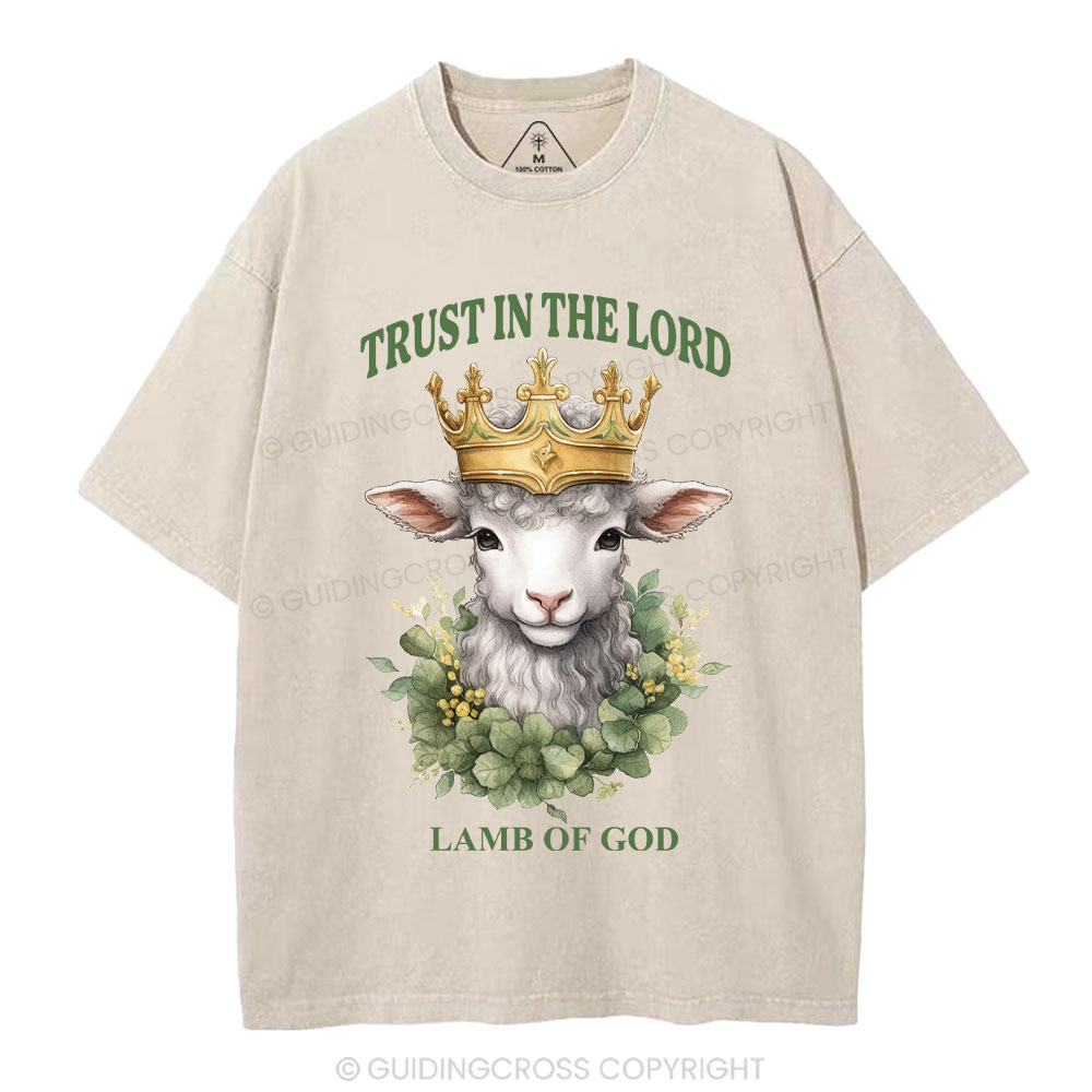 Lamb Of God Christian Washed T-Shirt